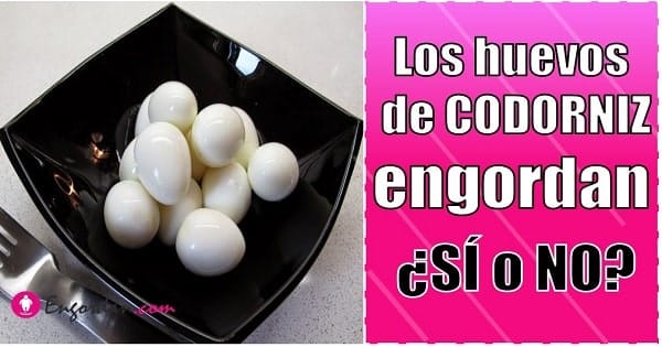 el huevo de codorniz calorias